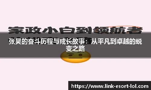 张昊的奋斗历程与成长故事：从平凡到卓越的蜕变之路
